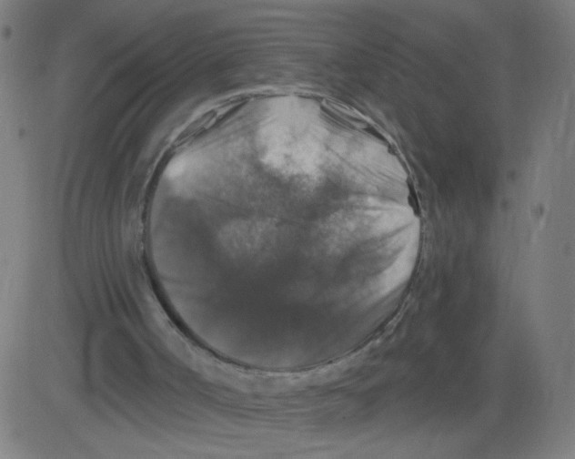 X0000081440002200702092236