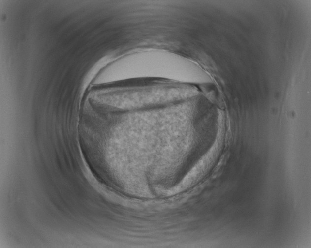 X0000081440003200702092236