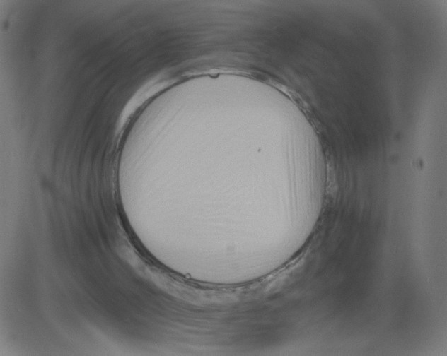 X0000081440004200702092236