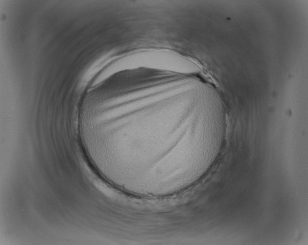 X0000081440005200702092236