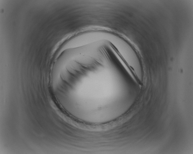 X0000081440015200702092236
