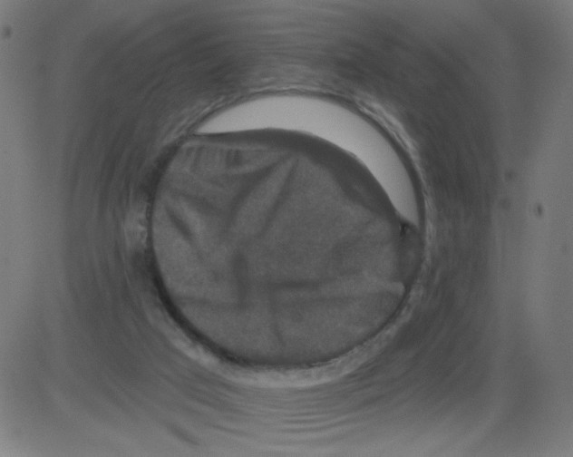 X0000081440017200702092236