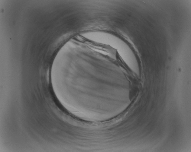 X0000081440019200702092236