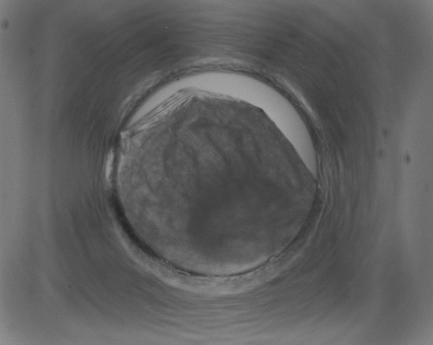 X0000081440023200702092236