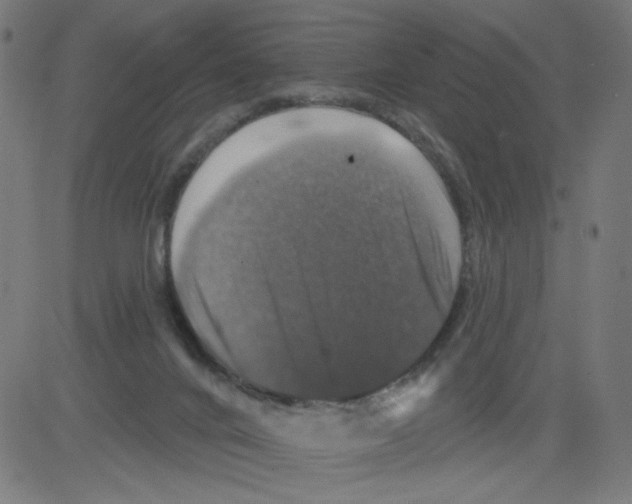 X0000081440024200702092236