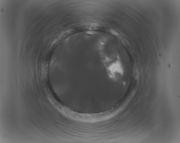 X0000081440030200702092236