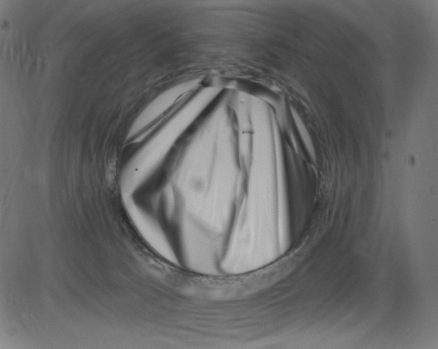 X0000081440033200702092236