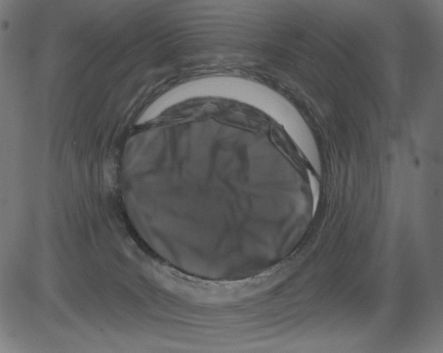 X0000081440035200702092236