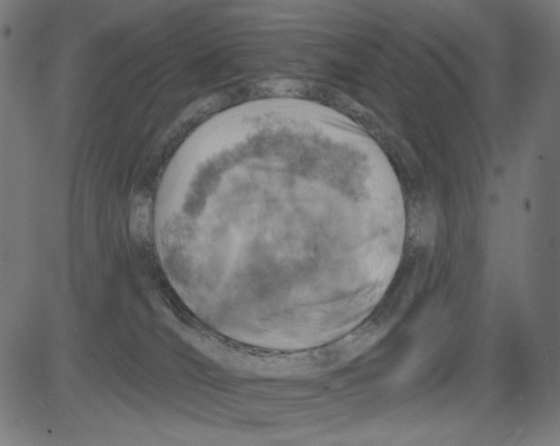 X0000081440036200702092236
