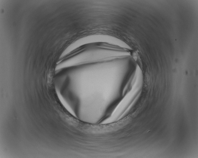 X0000081440037200702092236