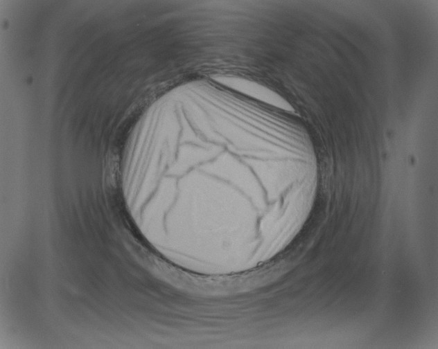 X0000081440038200702092236