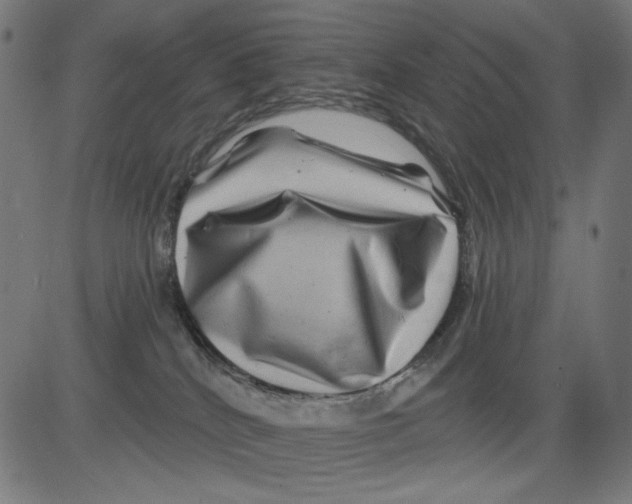 X0000081440040200702092236