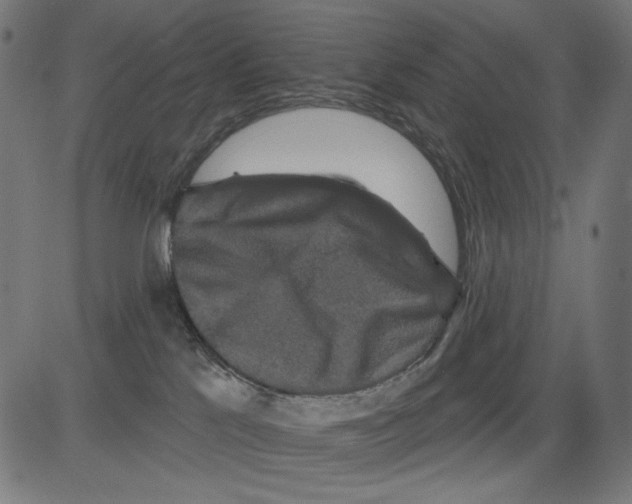 X0000081440041200702092236