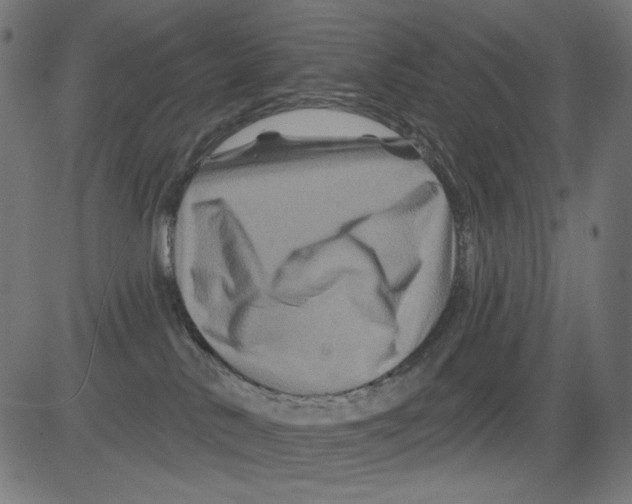 X0000081440042200702092236