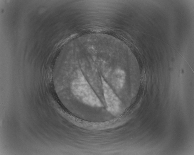 X0000081440043200702092236