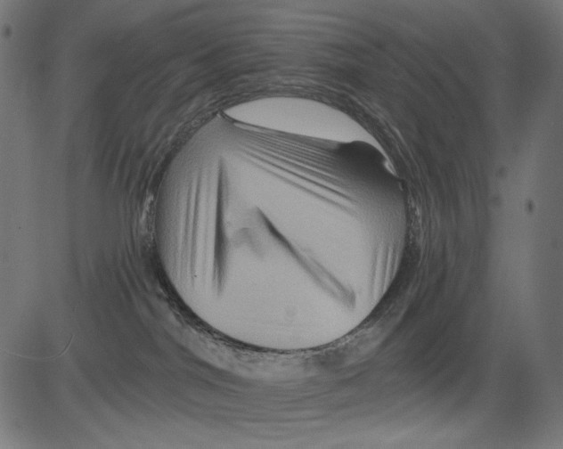 X0000081440044200702092235