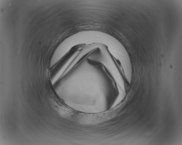 X0000081440045200702092235