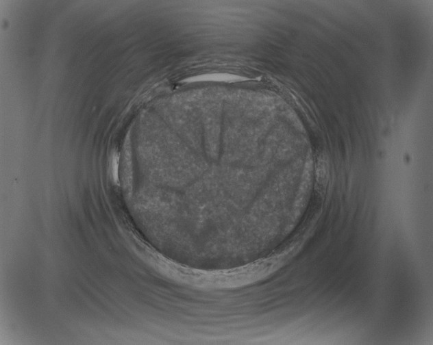 X0000081440046200702092235
