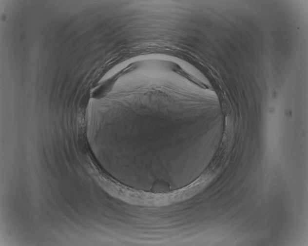 X0000081440048200702092235