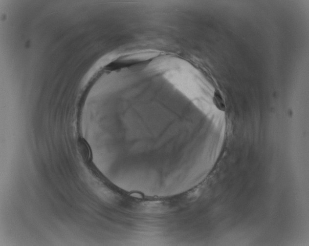 X0000081440054200702092235