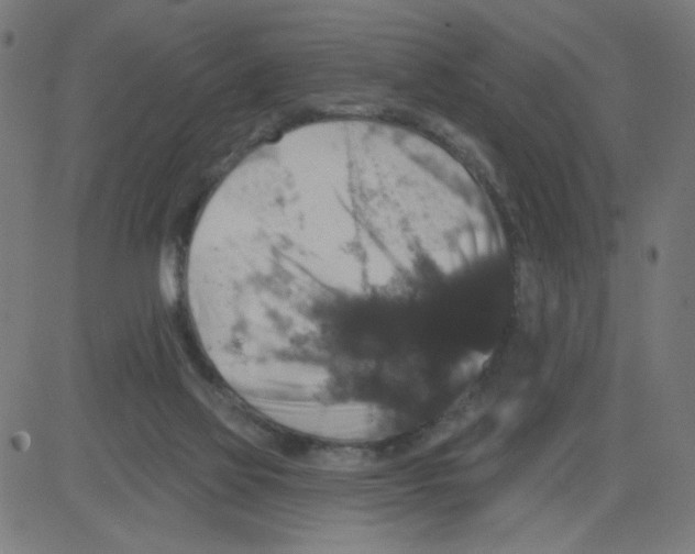 X0000081440069200702092235