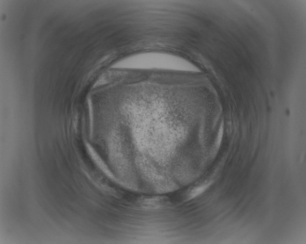 X0000081440072200702092235