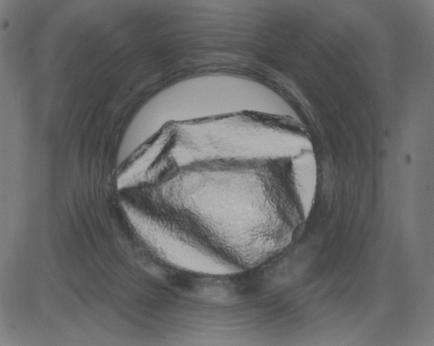 X0000081440073200702092235