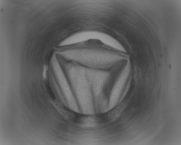 X0000081440075200702092235