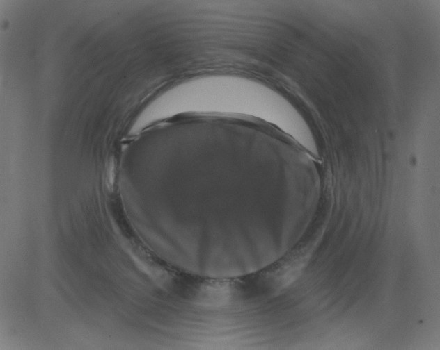 X0000081440076200702092235