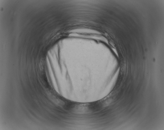X0000081440078200702092235