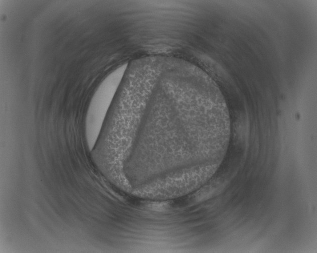 X0000081440081200702092235