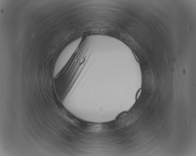 X0000081440083200702092235