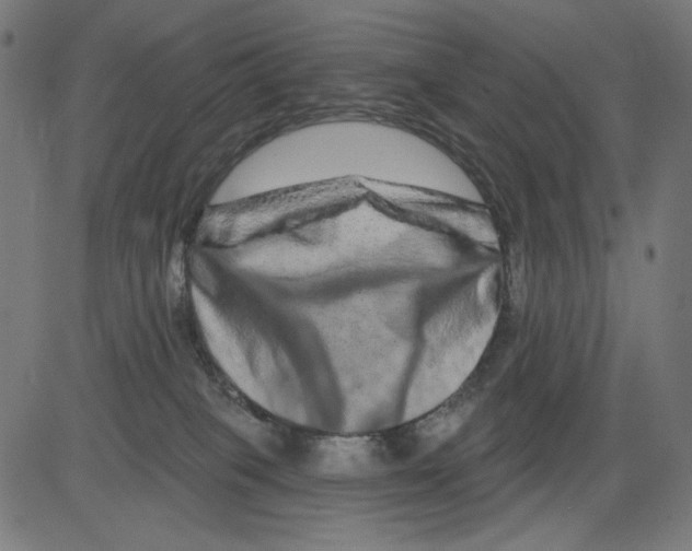 X0000081440085200702092235