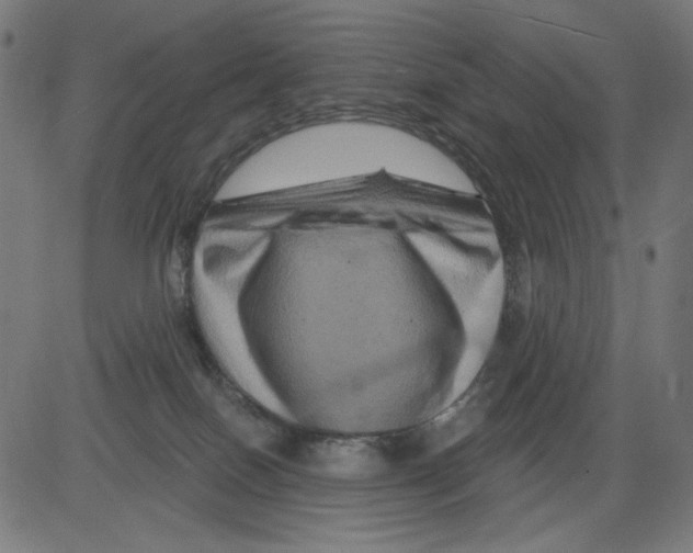 X0000081440086200702092235