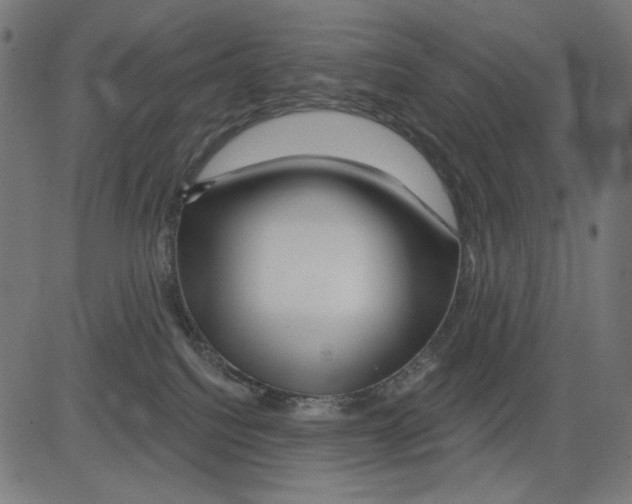X0000081440088200702092235