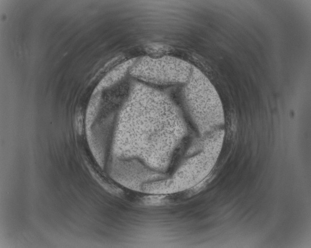 X0000081440090200702092235