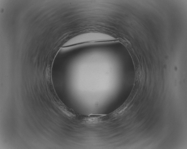 X0000081440092200702092235