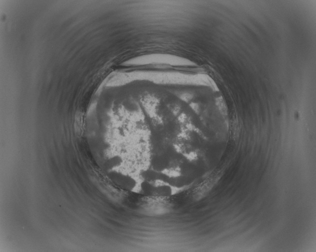 X0000081440093200702092235