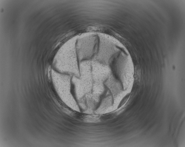 X0000081440094200702092235