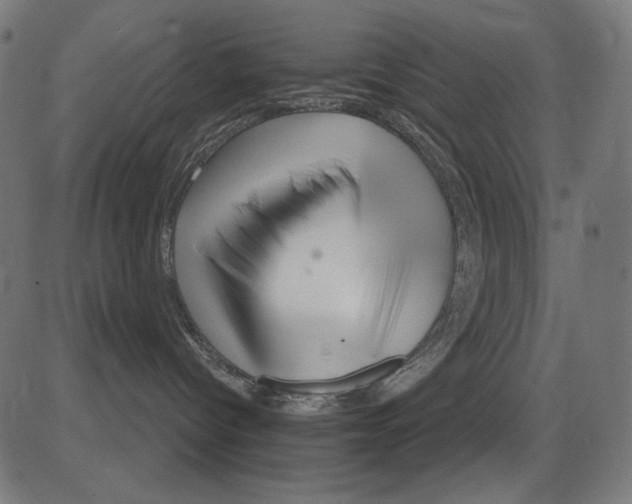 X0000081440096200702092235