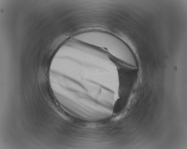 X0000081440105200702092235