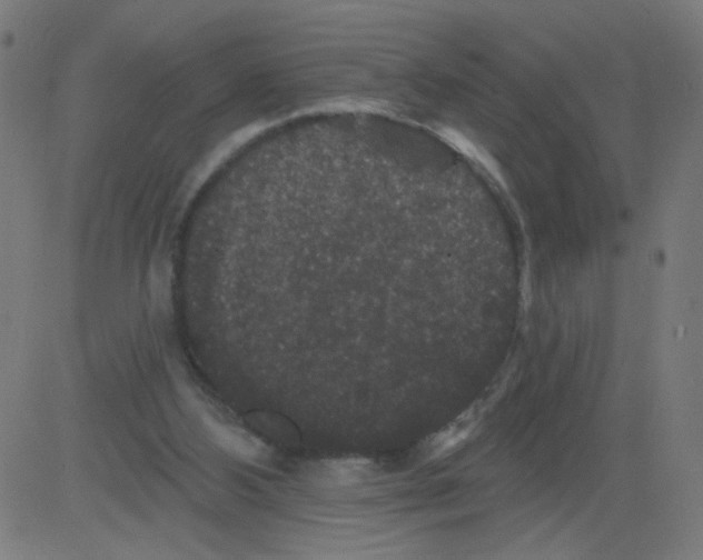 X0000081440108200702092234