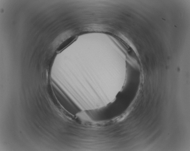 X0000081440109200702092234