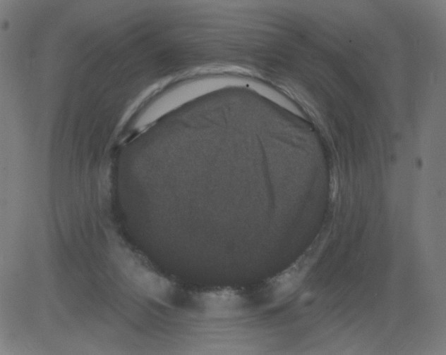 X0000081440112200702092234