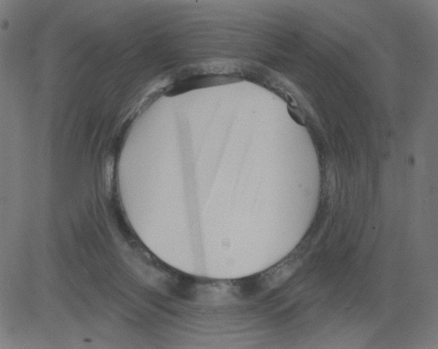 X0000081440118200702092234