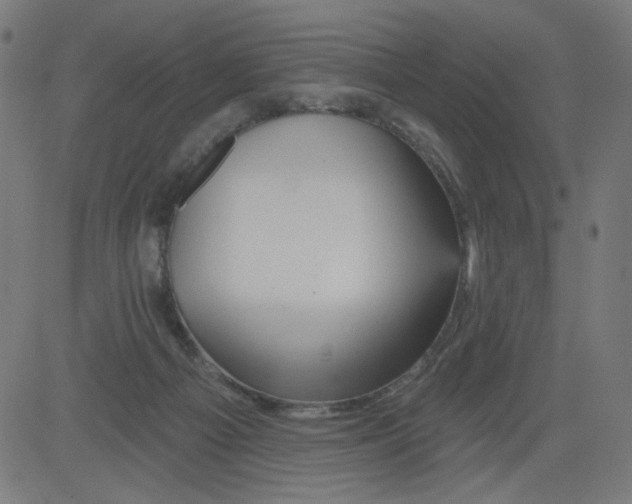 X0000081440121200702092234