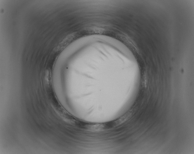 X0000081440122200702092234