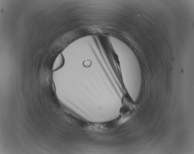 X0000081440125200702092234