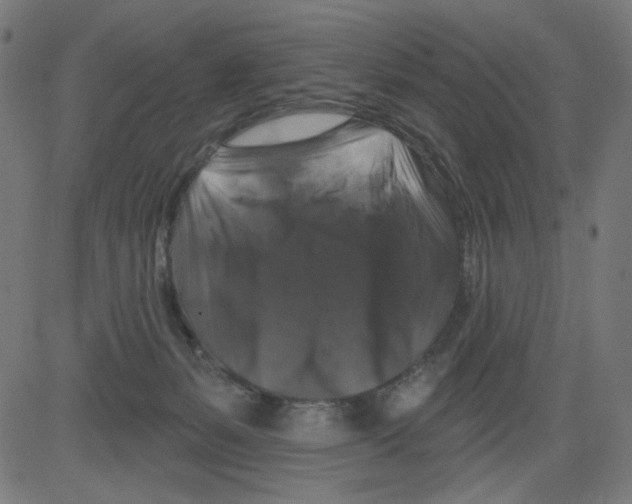 X0000081440127200702092234