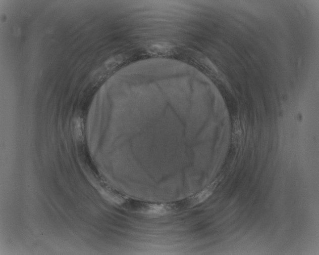 X0000081440130200702092234